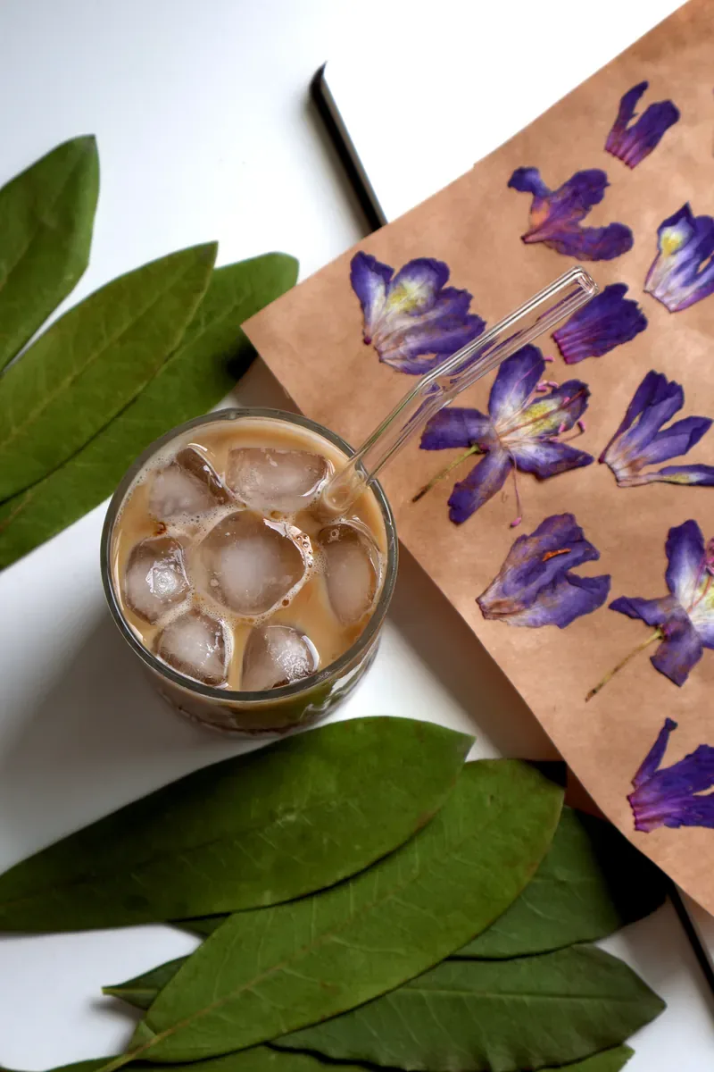 An iced botanical drink with dried flowers and leaves
